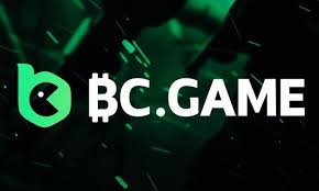 Comprehensive Guide to BC.Game Payment Options
